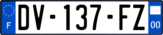 DV-137-FZ