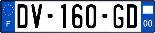 DV-160-GD