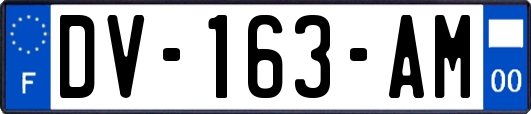 DV-163-AM