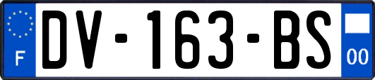 DV-163-BS