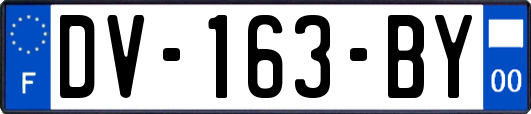 DV-163-BY