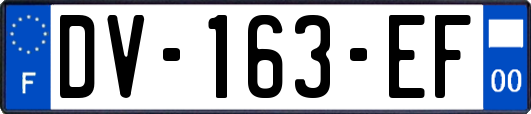 DV-163-EF