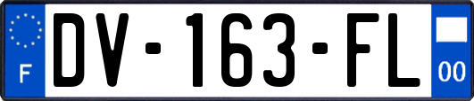 DV-163-FL