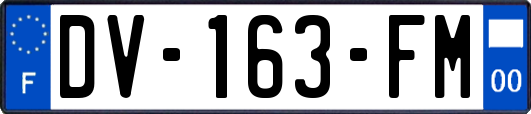 DV-163-FM