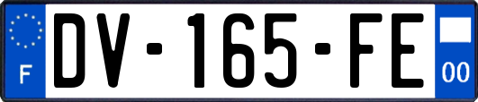 DV-165-FE