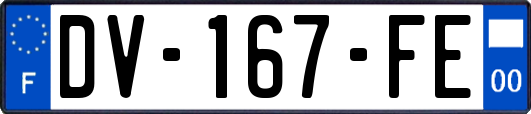 DV-167-FE