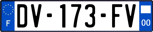 DV-173-FV