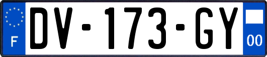 DV-173-GY