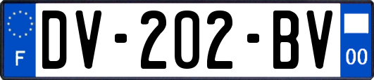 DV-202-BV