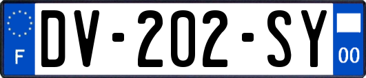 DV-202-SY