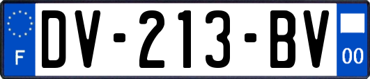 DV-213-BV