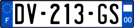 DV-213-GS