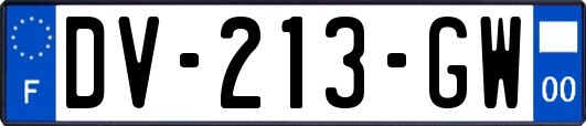 DV-213-GW