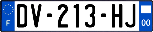 DV-213-HJ