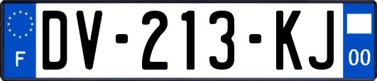 DV-213-KJ