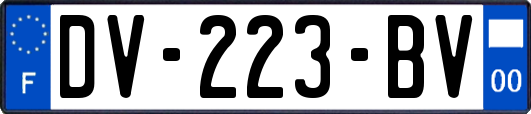 DV-223-BV