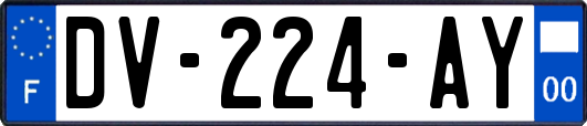 DV-224-AY