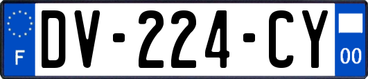 DV-224-CY