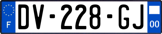 DV-228-GJ