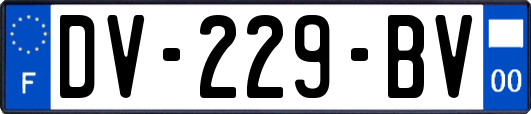 DV-229-BV