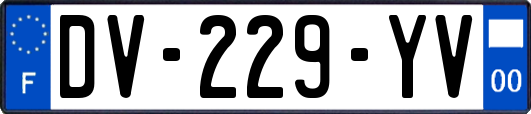 DV-229-YV