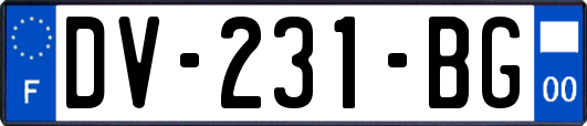 DV-231-BG