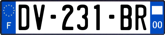 DV-231-BR