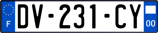 DV-231-CY