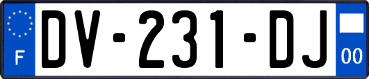 DV-231-DJ