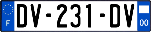 DV-231-DV