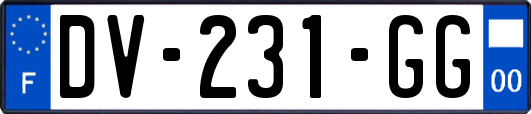 DV-231-GG