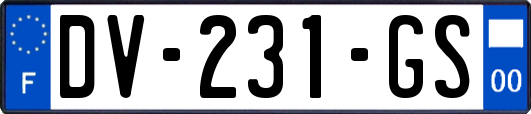 DV-231-GS