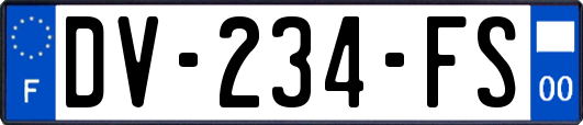 DV-234-FS