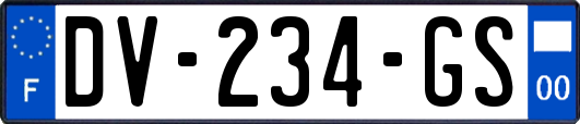 DV-234-GS