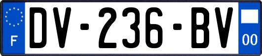 DV-236-BV