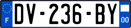 DV-236-BY