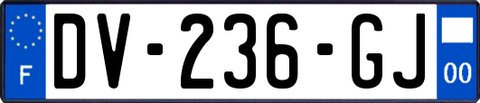 DV-236-GJ