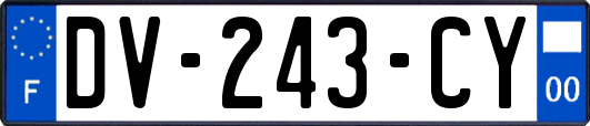 DV-243-CY