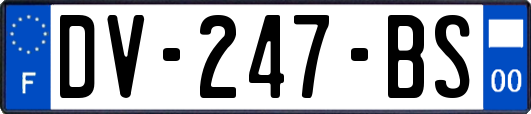 DV-247-BS