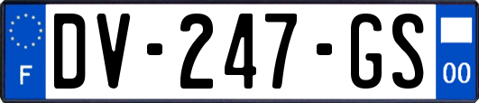 DV-247-GS