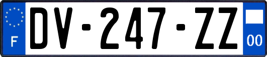 DV-247-ZZ