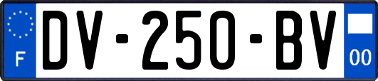 DV-250-BV