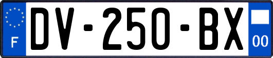 DV-250-BX