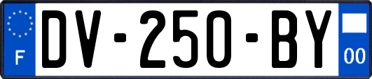 DV-250-BY