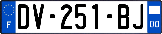 DV-251-BJ