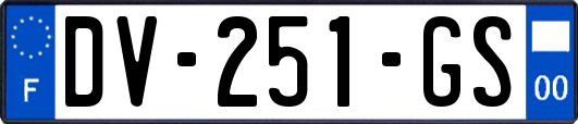 DV-251-GS