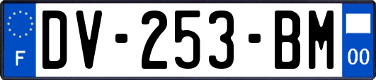 DV-253-BM