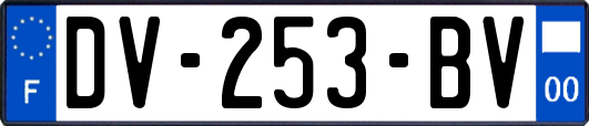 DV-253-BV