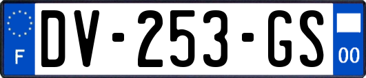 DV-253-GS