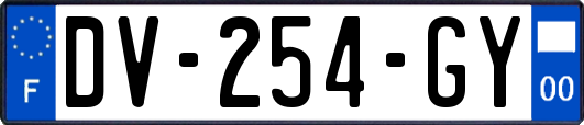 DV-254-GY